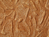 Артикул 7072-38, Палитра, Палитра в текстуре, фото 8