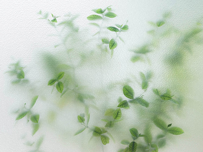 Фотообои Frame-2019: 15, FRAME-2019, Wall street