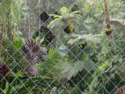 Фотообои Frame-2019: 6, FRAME-2019, Wall street